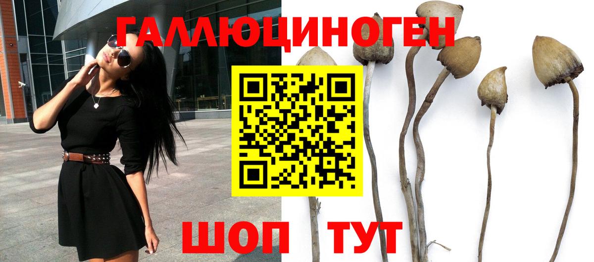 Галлюциногенные грибы MAGIC MUSHROOMS Кизляр