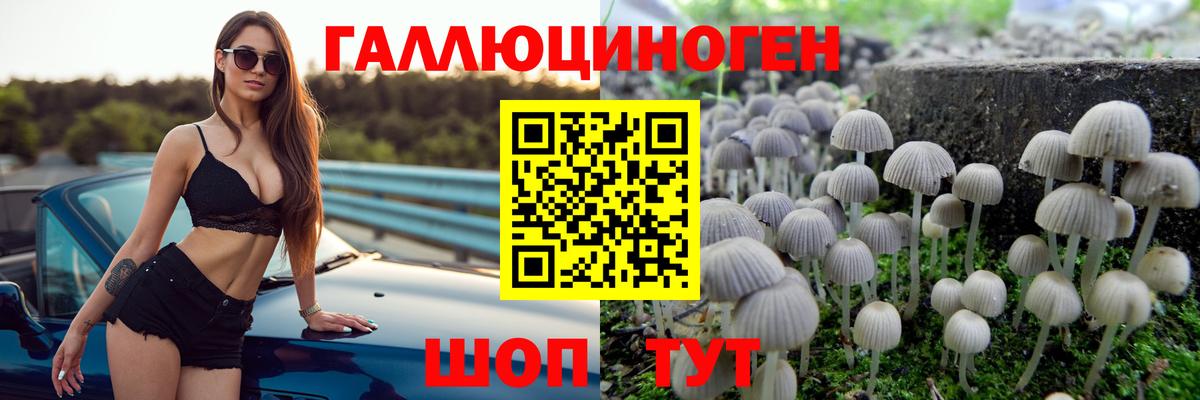 Кизляр  Галлюциногенные грибы Magic Shrooms  Вход с VPN  Галлюциногенные грибы Cubensis 